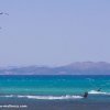 Thumb Picture: Mehrere Kitesurfer in der Bucht von Pollensa