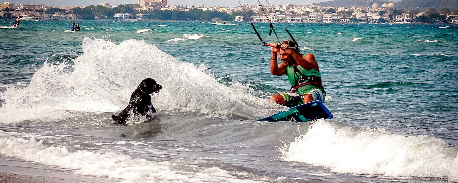 kitesurfer fahrend auf board neben hund rennend in den wellen
